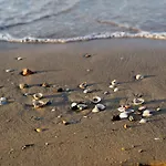 Seaside Welcoming Flat Next To The - Beahost Bibione