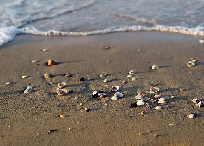 Seaside Welcoming Flat Next To The - Beahost Bibione