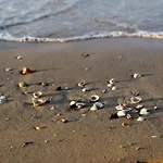 Διαμέρισμα Seaside Welcoming Flat Next To The - Beahost