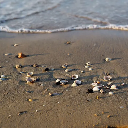 Seaside Welcoming Flat Next To The - Beahost Bibione