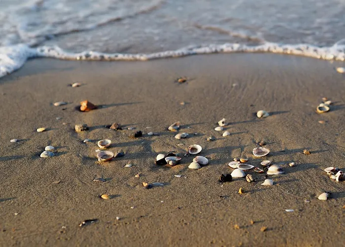 Lejlighed Seaside Welcoming Flat Next To The - Beahost